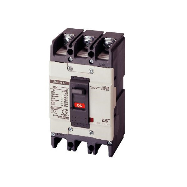 INTERRUPTOR EN CAJA  MOLDEADA ABS 63c/60A